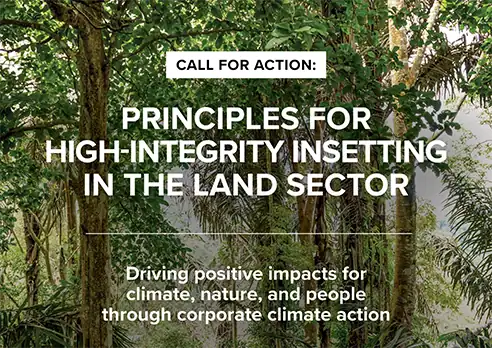 02_Principles-For-High-integrity-Insetting-conservation international copy