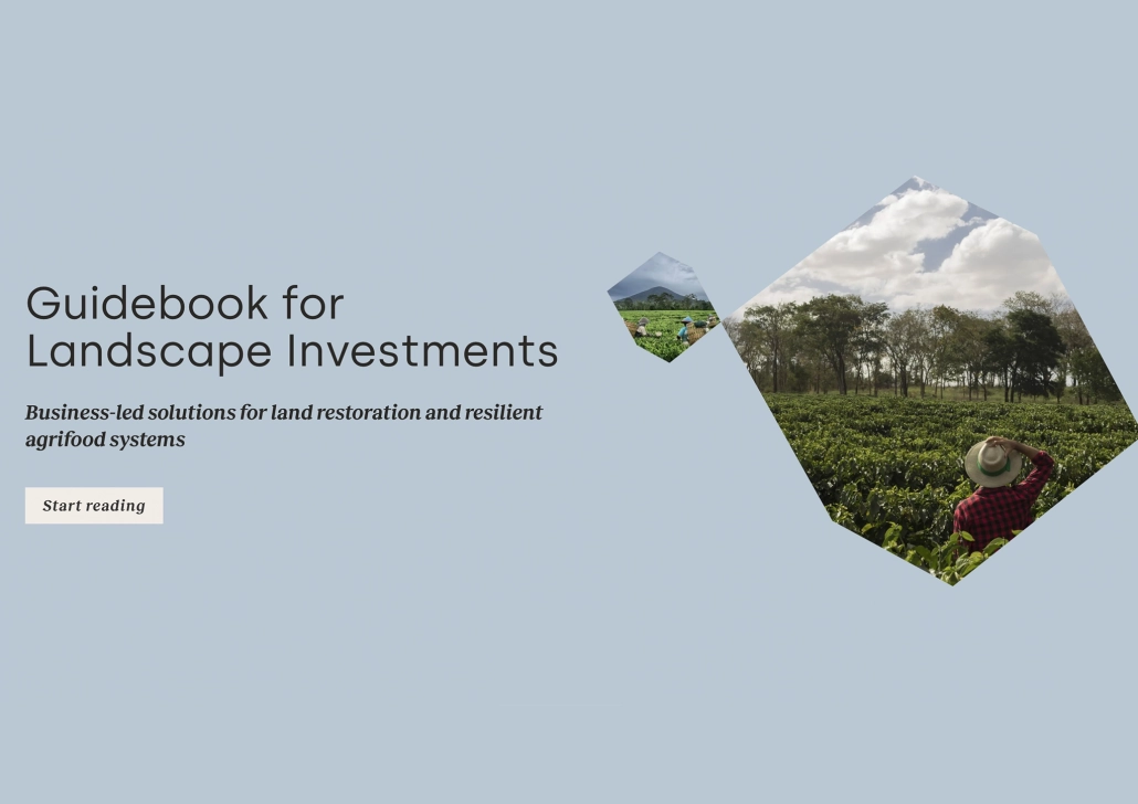 07_Guidebook for landscape investments copy