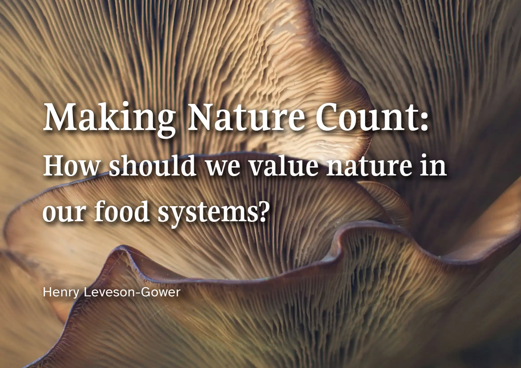 8a_making nature count