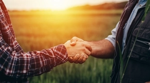 two people shaking hands